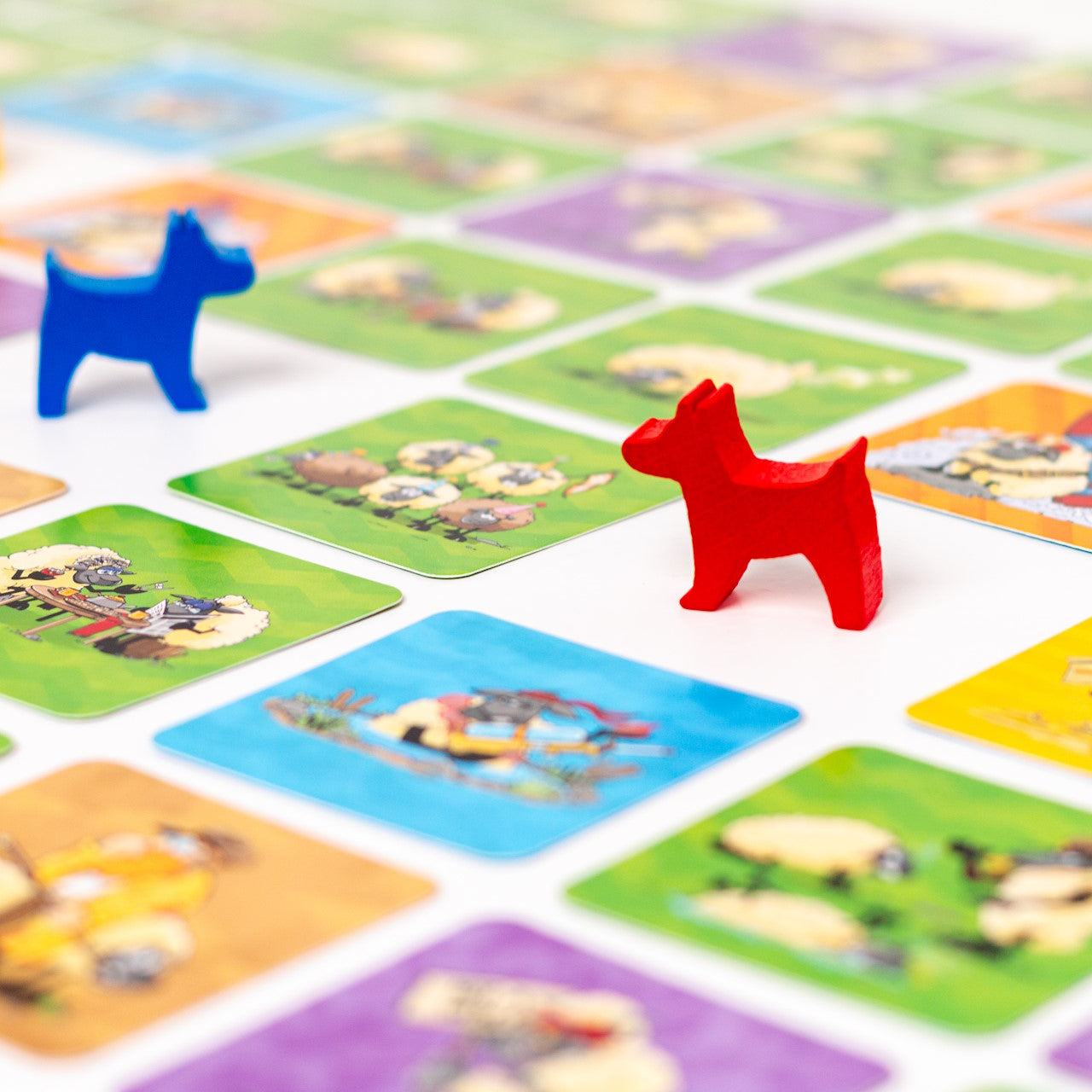 Sheep Showdown
