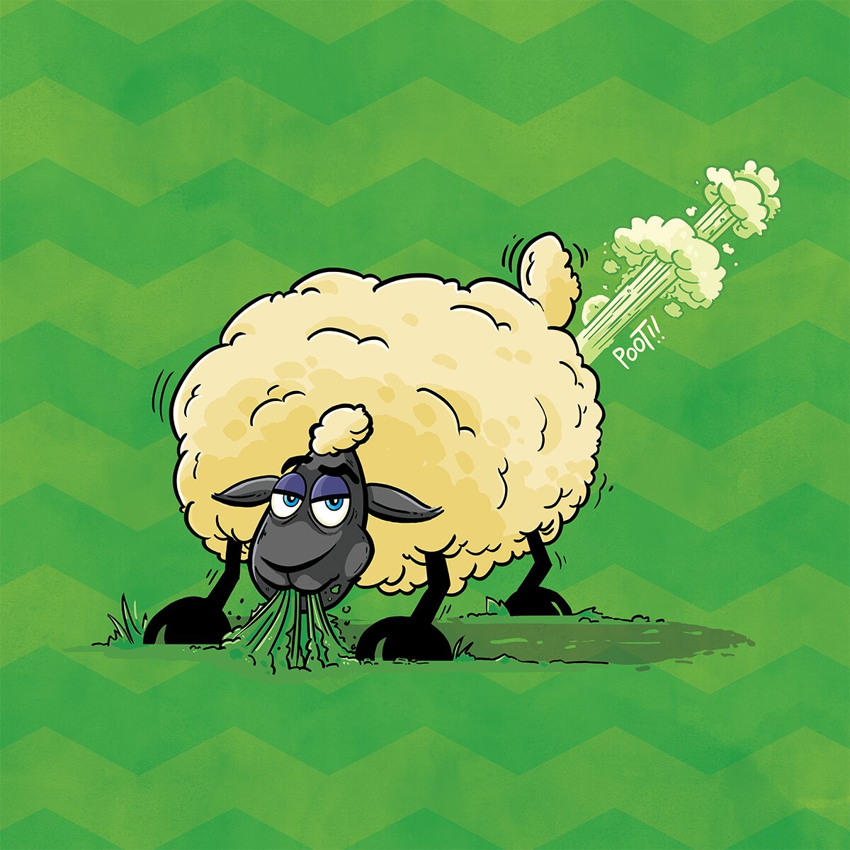 1-sheep